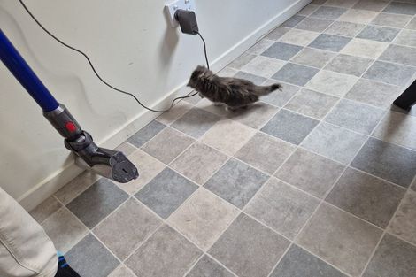 Photo of property in 57b Sabulite Road, Kelston, Auckland, 0602