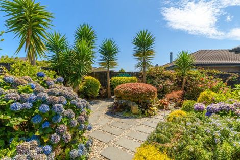 Photo of property in 164 Doncaster Drive, Papamoa Beach, Papamoa, 3118