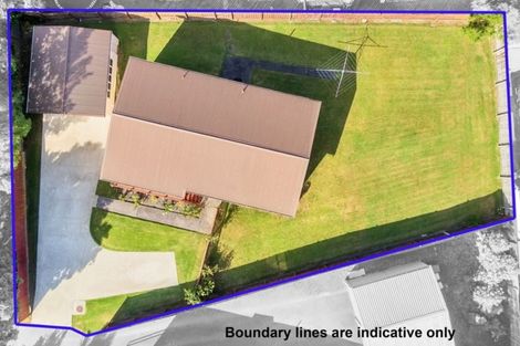 Photo of property in 54 Hindmarsh Street, Henderson, Auckland, 0612