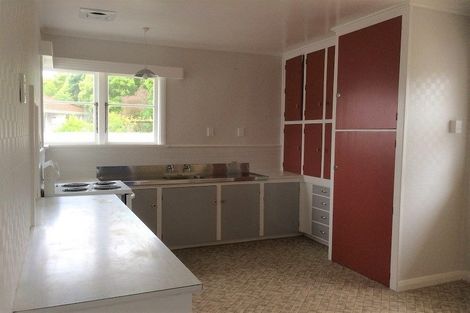 Photo of property in 3 Graham Street, Levin, 5510