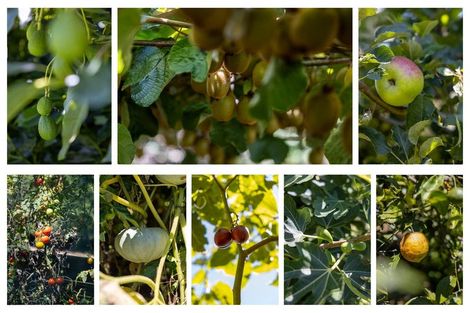 Photo of property in 94a Snodgrass Road, Te Puna, Tauranga, 3174