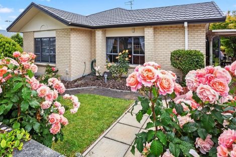 Photo of property in 11 Kopu Drive, Pyes Pa, Tauranga, 3112