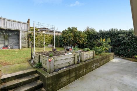 Photo of property in 53 Freyberg Street, Otumoetai, Tauranga, 3110