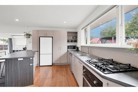 Photo of property in 17 Opal Place, Casebrook, Christchurch, 8051