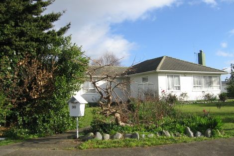 Photo of property in 30 Edinburgh Street, Feilding, 4702