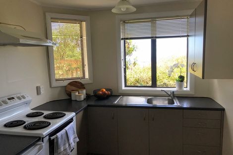 Photo of property in 6 Haig Street, Mornington, Dunedin, 9011