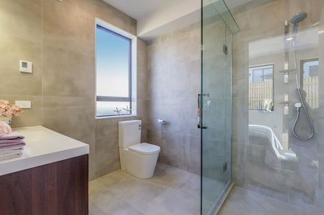 Photo of property in 19 Brickworks Bay Road, Hobsonville, Auckland, 0618