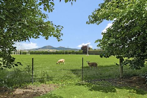 Photo of property in 17 Wairongoa Road, North Taieri, Mosgiel, 9092