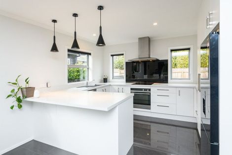 Photo of property in 83b Fitzroy Street, Terrace End, Palmerston North, 4410