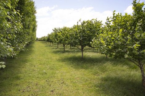 Photo of property in 120 Summerleaze Road, Pareora West, Timaru, 7971