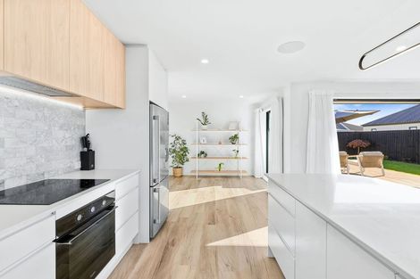 Photo of property in 117 Ed Hillary Drive, Rolleston, 7615