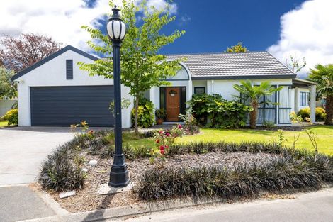 Photo of property in 806e Williams Street, Mahora, Hastings, 4120