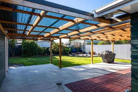 Photo of property in 133 Cockburn Street, Kuripuni, Masterton, 5810