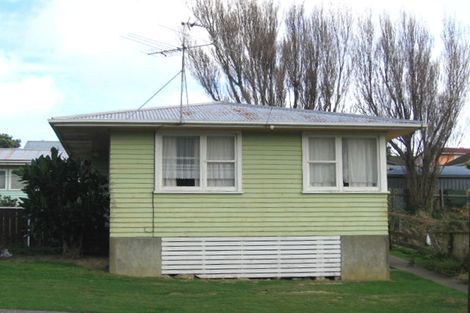 Photo of property in 133 Driver Crescent, Cannons Creek, Porirua, 5024