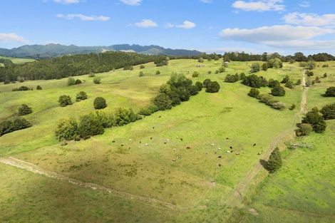 Photo of property in 53 Nursery Lane, Papamoa, 3118