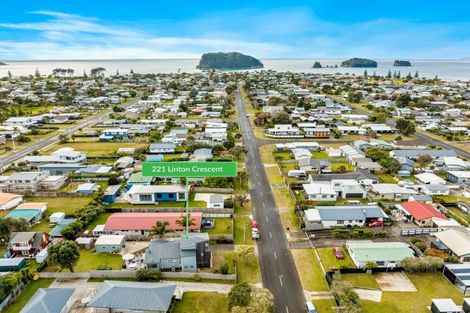 Photo of property in 221 Linton Crescent, Whangamata, 3620