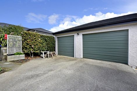 Photo of property in 19 Aratia Way, Richmond, 7020