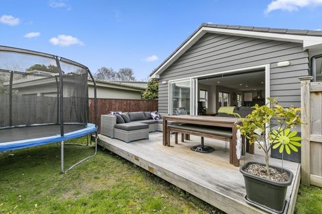 Photo of property in 79 Woburn Road, Woburn, Lower Hutt, 5010