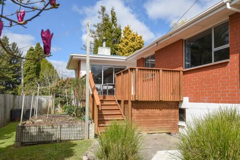 Photo of property in 28 Utuhina Road, Springfield, Rotorua, 3015