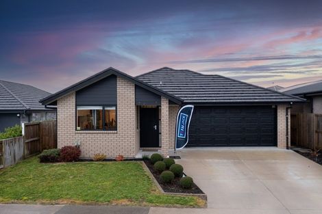 Photo of property in 6 Mccorquindale Drive, Flagstaff, Hamilton, 3210