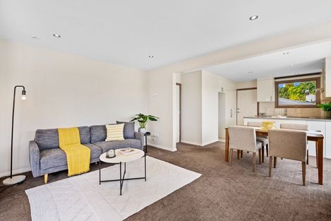 Photo of property in 6 Alexander Street, Abbotsford, Dunedin, 9018