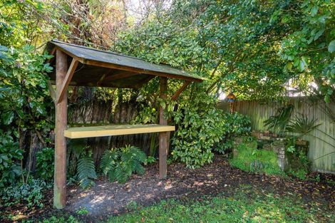 Photo of property in 33 Owhango Road, Owhango, 3990