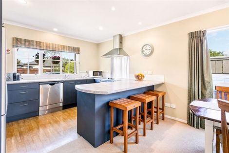 Photo of property in 93 Espalier Drive, Henderson, Auckland, 0612