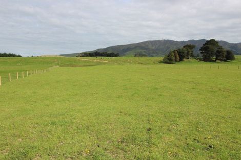 Photo of property in 619 Pinfold Road, Papatawa, 4998