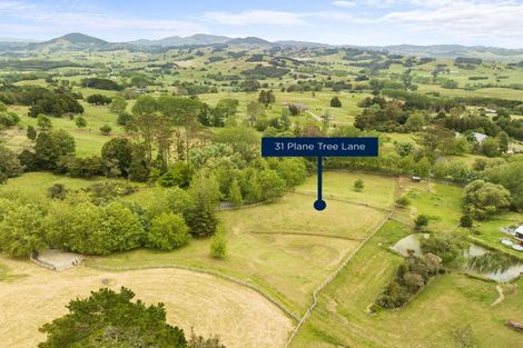 Photo of property in 31 Plane Tree Lane Lane, Ruatangata West, 0185