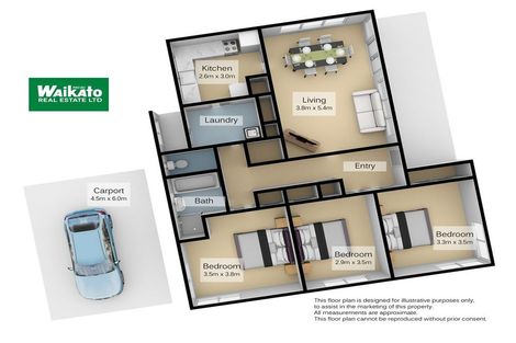 Photo of property in 19 Aberfoyle Street, Dinsdale, Hamilton, 3204