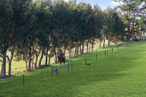 Photo of property in 124 Rimmer Road, Helensville, 0875