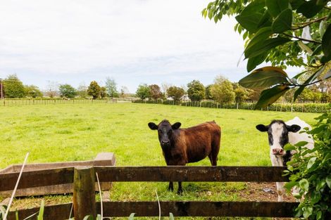 Photo of property in 279 Tararua Road, Levin, 5571