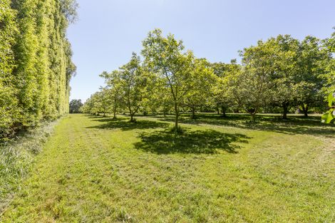 Photo of property in 27 Guys Road, Yaldhurst, Christchurch, 7676