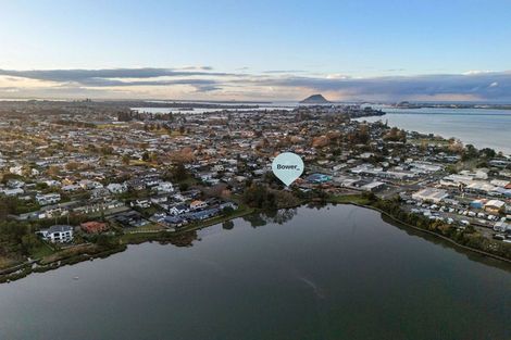 Photo of property in 20a Scantlebury Street, Tauranga South, Tauranga, 3112