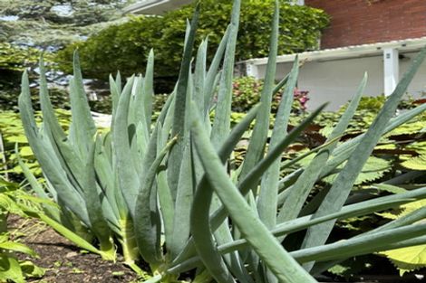 Photo of property in 2/56 Marriott Road, Pakuranga, Auckland, 2010