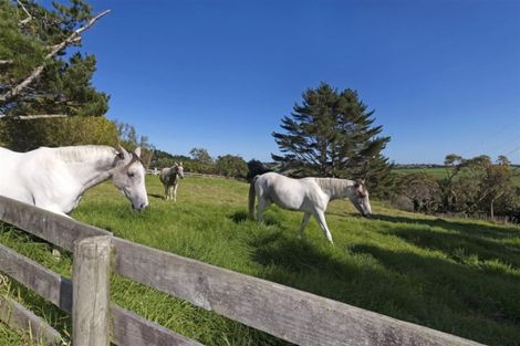 Photo of property in 195 Taiapa Road, Muriwai, Waimauku, 0881