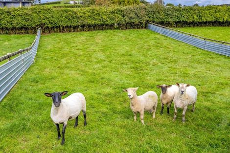 Photo of property in 24 Victoria Road, Stratford, 4391