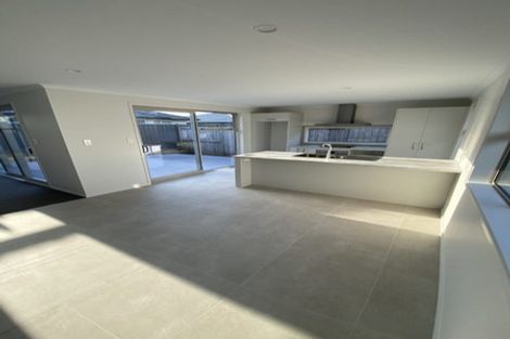 Photo of property in 9 Hammick Crescent, Pyes Pa, 3112