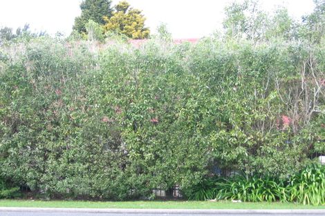 Photo of property in 72 Poike Road, Hairini, Tauranga, 3112