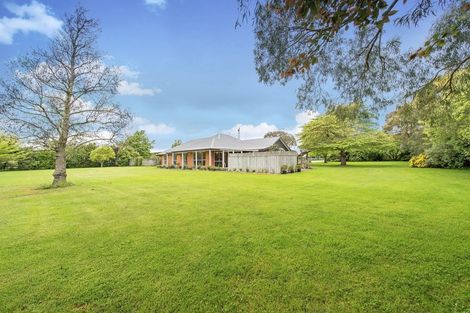 Photo of property in 554 Boundary Creek Road, Dunsandel, Leeston, 7682