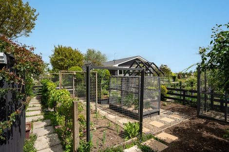 Photo of property in 28 Goldsmith Street, Leamington, Cambridge, 3432