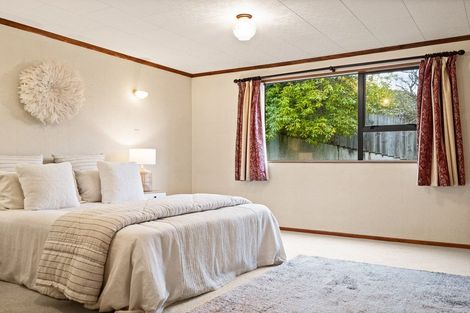 Photo of property in 16 Mcgregor Street, Opoho, Dunedin, 9010