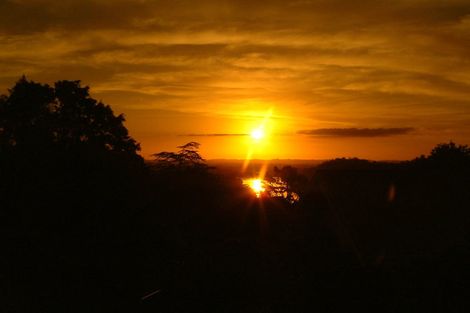 Photo of property in 1/152 Manuka Road, Bayview, Auckland, 0629