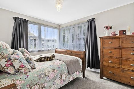 Photo of property in 156 Mahoe Street, Melville, Hamilton, 3206