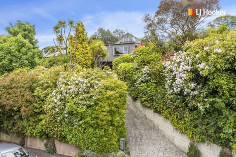 Photo of property in 44 Littlebourne Road, Roslyn, Dunedin, 9010