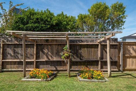 Photo of property in 13 Windsor Place, Windsor Park, Auckland, 0630