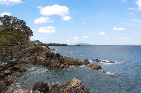 Photo of property in 12 Penguin Street, Leigh, 0985