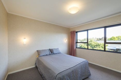 Photo of property in 225 The Terrace, Ashhurst, 4810