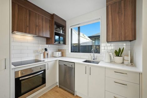 Photo of property in 16d Champion Street, Edgeware, Christchurch, 8013