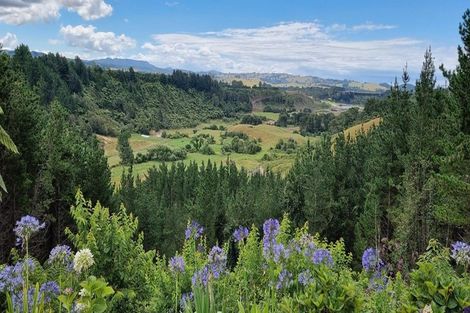 Photo of property in 32 Gasson Lane, Pyes Pa, Tauranga, 3173